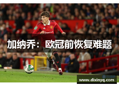 加纳乔：欧冠前恢复难题