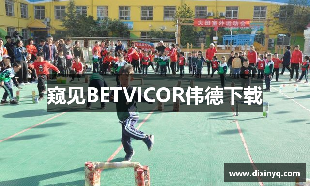 窥见BETVICOR伟德下载